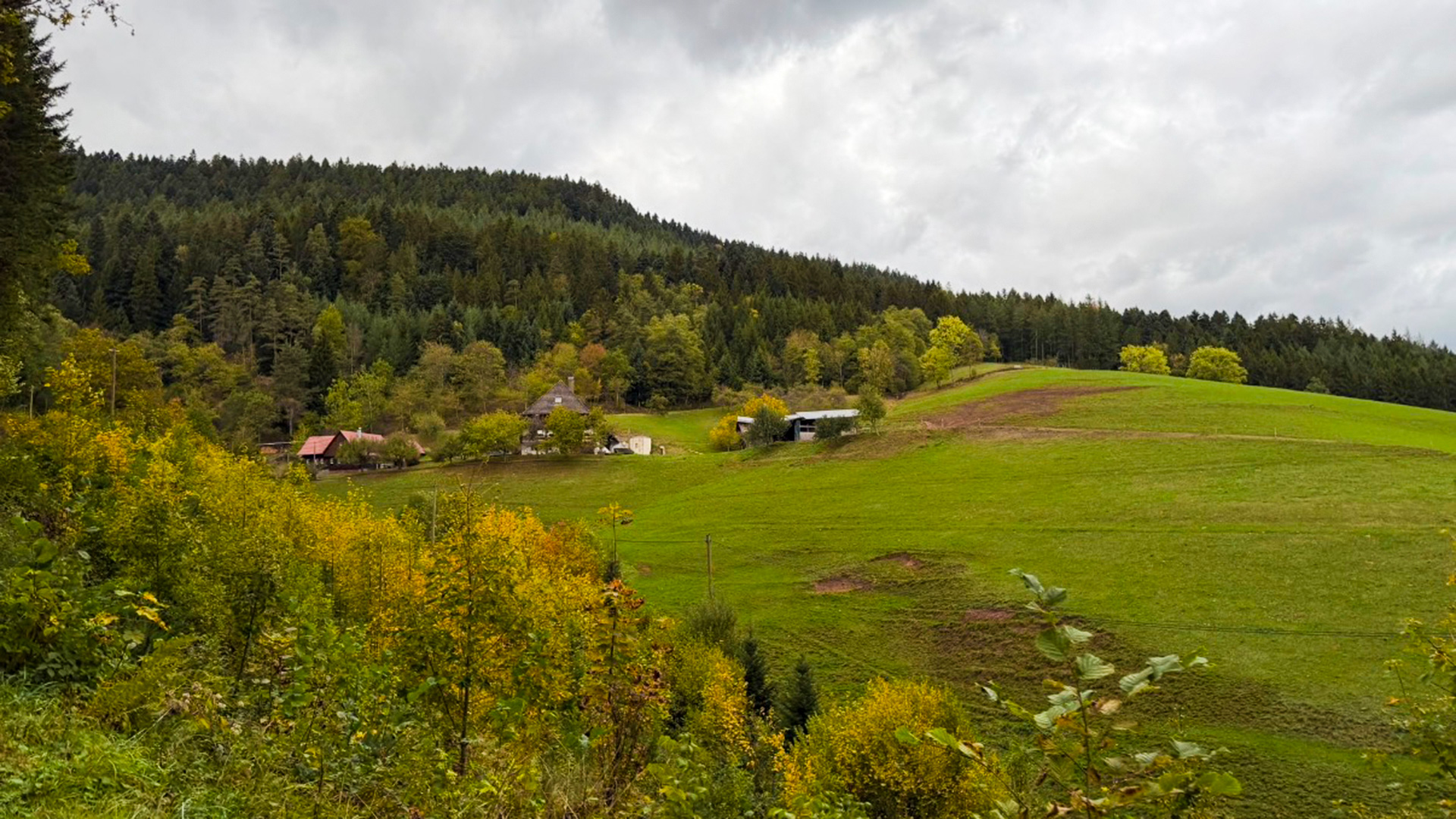 Ein Hoch auf das Ehrenamt und einen gelungenen Abend